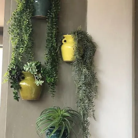 Boutique In The Heart Of Appartement *