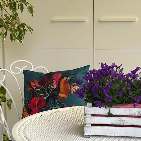 Boutique In The Heart Of Montecatini Terme