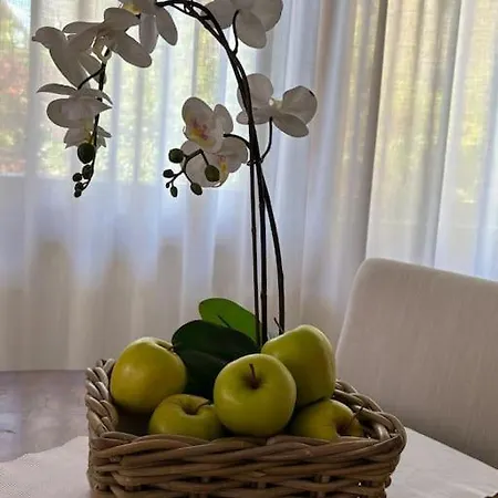 Appartement Boutique In The Heart Of Montecatini Terme