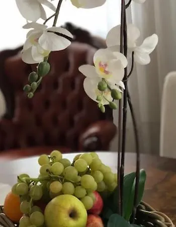 Boutique In The Heart Of Διαμέρισμα Μοντεκατίνι Τέρμε